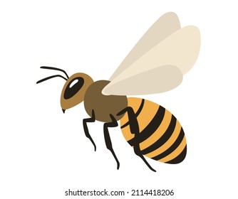 Abeja de miel en ilustración de vuelo