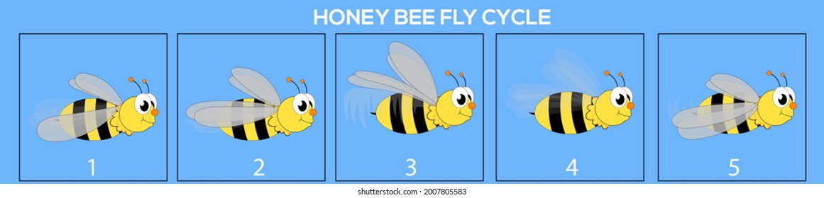 Honey Bee frame by frame loopable vector file ready for 2D animation, the editable Illustration source file for motion graphics, infographics, explanatory animated video, with a plain Blue Background
