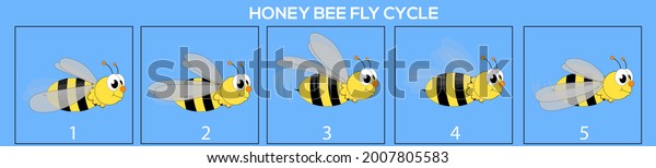 Honey Bee frame by frame loopable vector file\
ready for 2D animation, the editable Illustration source file for\
motion graphics, infographics, explanatory animated video, with a\
plain Blue Background
