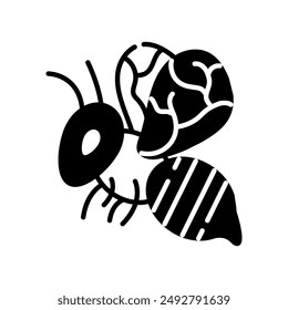 Honey Bee Glyph Icon, Vector illustration