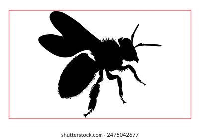 Honey Bee Hand drawing silhouette, Illustration of Bee Silhouette Art