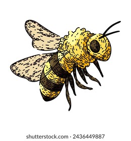 honey bee hand drawn. cute black, fly sketch, insect baby honey bee vector sketch. isolated color illustration