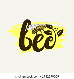 honey bee hand drawn illustration