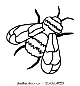 Honey bee hand drawn sketch. Clipart isolated on white background vector illustration. Design fot tatoo, logo, prints, cards, etc.