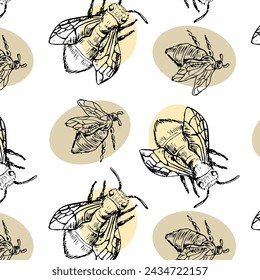 Honey bee hand drawn sketch pattern retro on white background. Vector illustration can used for textile, wrapping, decoration. 