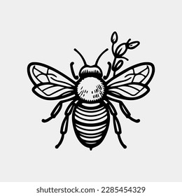 Honey bee Hand drawn vector vintage style illustrations.