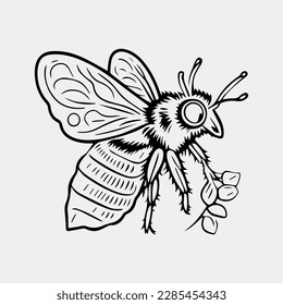 Ilustraciones de estilo vintage con dibujos de la mano de abeja miel.
