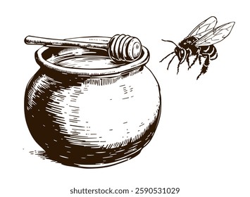 honey and the bee hand drown vector illustration