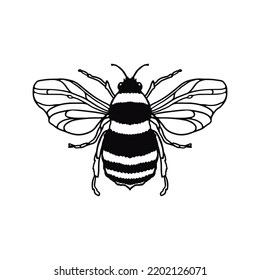 Honey Bee hand-drawn outline doodle isolated on white background. Design Mascot Vector Illustration. Concept logotype for packaging, coloring book