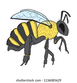 honey bee hand-drawn,vector image,outline style,coloring picture