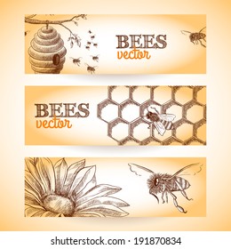 Honey bee hive comb and flower sketch banners set isolated vector illustration. 