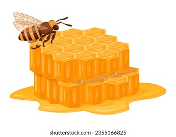 Honey bee with honeycomb. Cartoon sweet melting honey, honeycraft and beekeeping flat vector illustration. Bee with honey