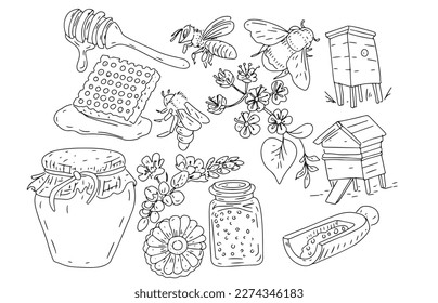 Honey bee honeycomb jar beehive graphic illustration hand drawn set large separately on white background sketch doodle