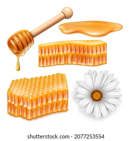 honey bee honeycomb pot. honey jar. gold beeswax. food product. drop liquid. realistic honey drip. syrup orange. yellow pure natural propolis. cute dessert. 3d realistic vector