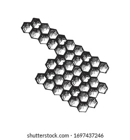 honey bee honeycomb sketch isolated on white background vector