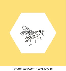 Honey bee in honeycomb, vector illustration