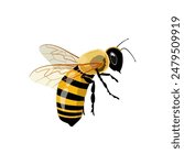 Honey Bee Icon Close Up Isolated on White Background. Queen Honey Bee Design Template, Vector Illustration