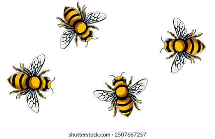 Honey Bee Icon Close Up Isolated on White Background. Queen Honey Bee Design Template