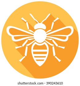 honey bee icon flat icon