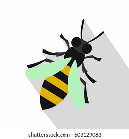 Honey bee icon. Flat illustration of honey bee vector icon for web