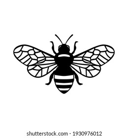 Honey Bee icon on white background