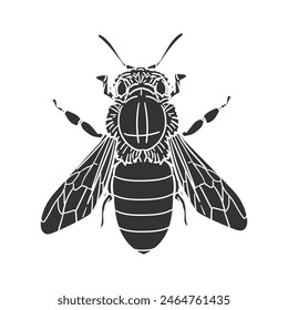 Honey Bee Icon Silhouette Illustration. Insects Vector Graphic Pictogram Symbol Clip Art. Doodle Sketch Black Sign.