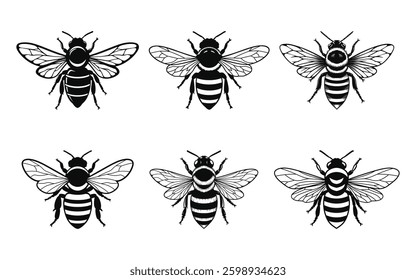 Honey Bee icon, honey bee silhouette vector, isolated on a white background
