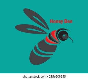 Honey bee icon vector  illustration.