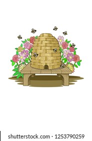 Honey Bee Illustration