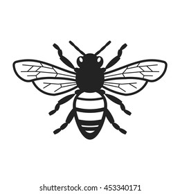 Honey Bee Illustration
