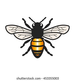 Honey Bee Illustration