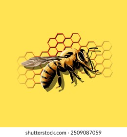 Honigbiene, Honigbienen-Illustration, Bienenvektor, Honigbienen-Tapete, Insektenvektor.