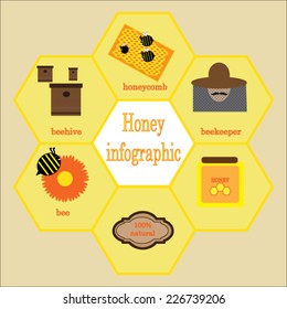 Honey and bee infographic