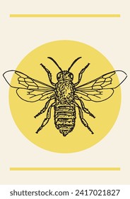 Honey bee ink drawing vintage vector illustration poster. Hand drawn isolated insect sketch.