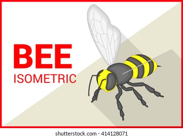 Honey bee insect isometric flat vector 3d illustration