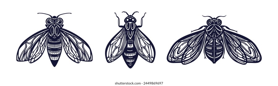 Honey bee. Insect sketch. Vintage vector hand drawing set isolated. Engraving style. Ornamental illustrations. Great for label, packaging design, t-shirt
