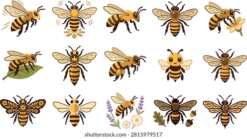 Honey bee insect vector collection featuring cute cartoon bees flying wasps bumblebees pollinating flowers and ornate boho honeybee designs.