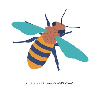 Honey bee insect vector illustration