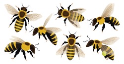 Icône Ensemble De Dessins Animés Isolée D'abeille De Miel. Illustration Vectorielle Animal D'abeille Sur Fond Blanc. Image Vectorielle Ensemble D'icônes De Bande Dessinée Miel Abeille.