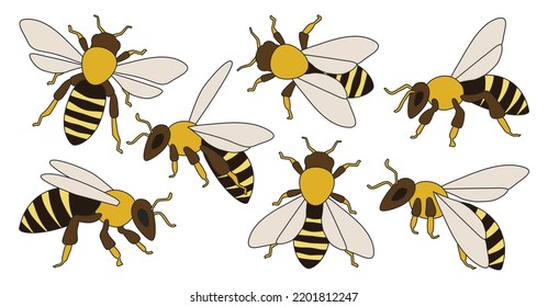 Honey Bee Isolated Color Set Icon. Vector Illustration Animal Of Honeybee On White Background. Vector Color Set Icon Honey Bee .