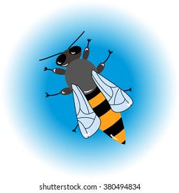 Honey bee. Isolated insect icon. Flying bee. Black bee with white wings. Flat style vector illustration. Honey natural healthy food production. Beehive and wax. 