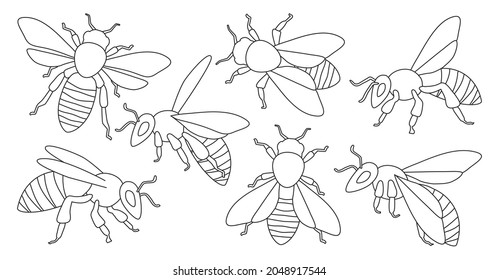 Honey bee isolated outline set icon. Vector illustration animal of honeybee on white background. Vector outline set icon honey bee .