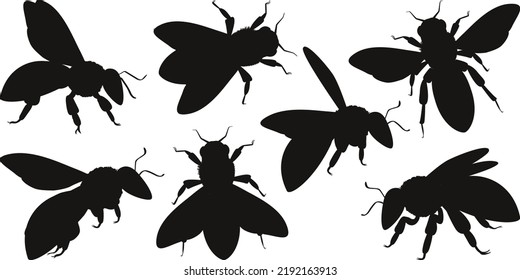 Honey bee isolated Vector Silhouettes