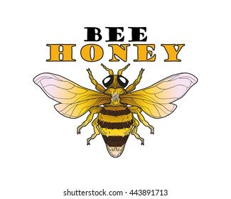 Honey and Bee label for logo products. Vector illustration.