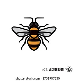 Honey bee line and color filled outline icon vector illustration. Beneficial insect symbol.