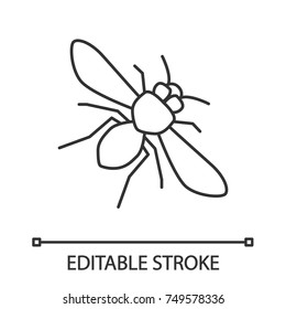 Honey bee linear icon. Insect. Thin line illustration. Contour symbol. Vector isolated outline drawing. Editable stroke