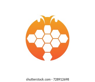 Honey bee logo design template