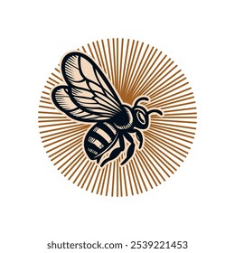 Honey bee logo. Hand drawn engraving style illustrations.