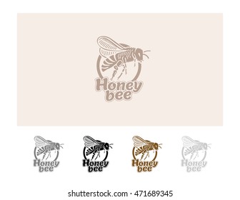 honey bee logo icon emblem vector