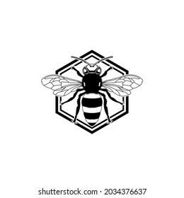 honey bee logo, bee vector.